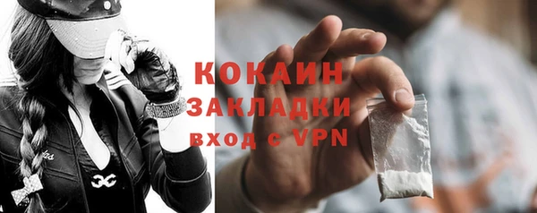 шишки Алексин