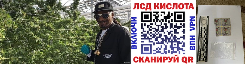 где можно купить   Суоярви  Марки NBOMe 1,8мг 