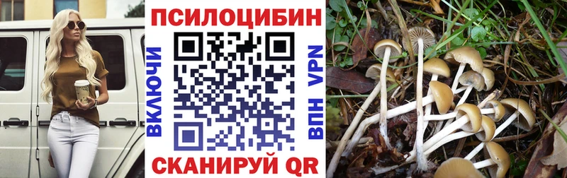 Галлюциногенные грибы прущие грибы Суоярви