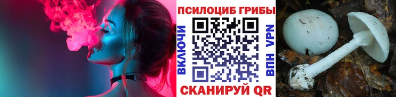 Псилоцибиновые грибы Psilocybine cubensis  где купить наркоту  МЕГА ссылка  Суоярви 